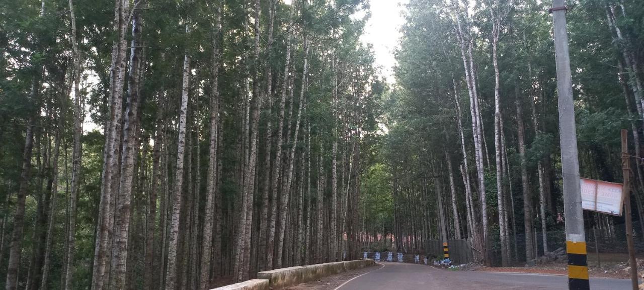 Istays - Loop Road, Yercaud Dış mekan fotoğraf