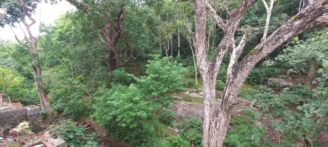 Istays - Loop Road, Yercaud Dış mekan fotoğraf