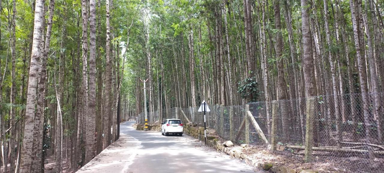Istays - Loop Road, Yercaud Dış mekan fotoğraf