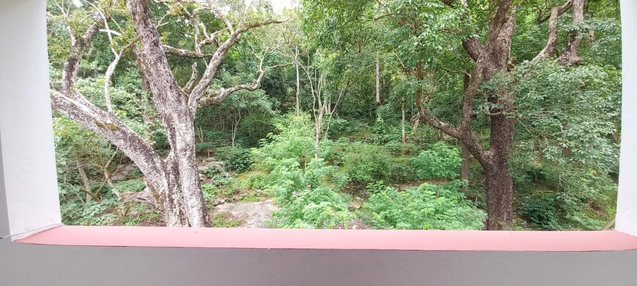 Istays - Loop Road, Yercaud Dış mekan fotoğraf